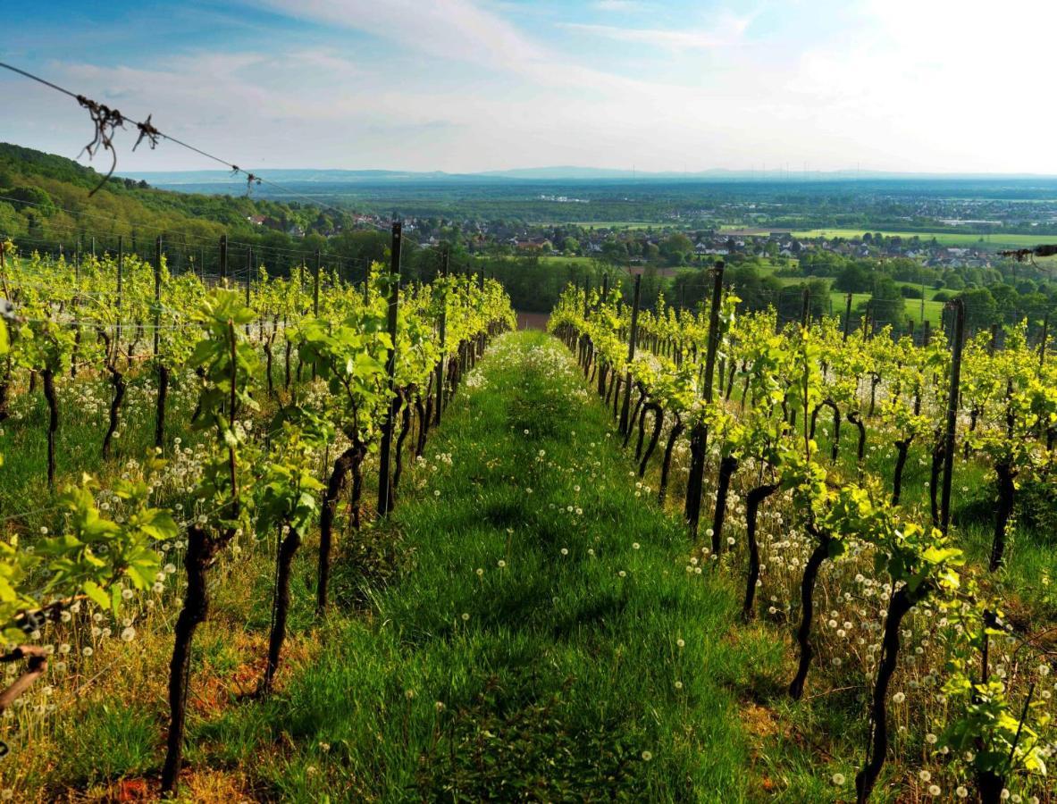 Weinmotel Simon 1 A Alzenau in Unterfranken Exteriör bild