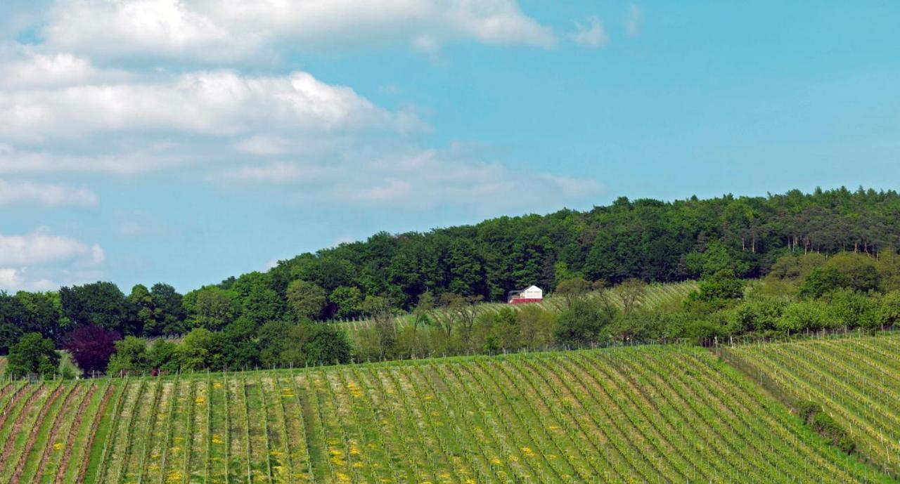 Weinmotel Simon 1 A Alzenau in Unterfranken Exteriör bild